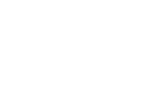 SAF Holland Logo