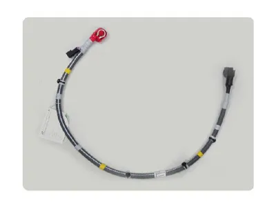 Wire Harness Assembly (4) Wire Harness Assembly (4)